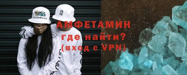 шишки Абаза
