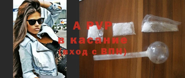 шишки Абаза