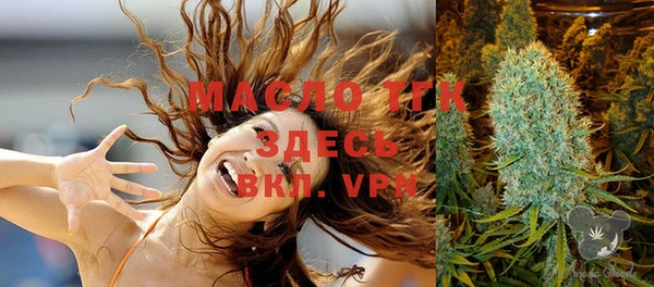 индика Краснотурьинск
