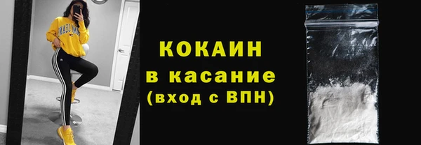 шишки Абаза