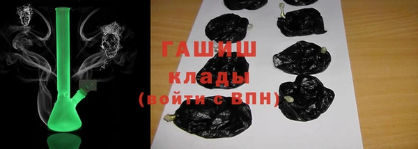 шишки Абаза