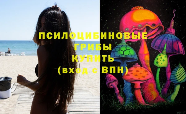дурь Абинск