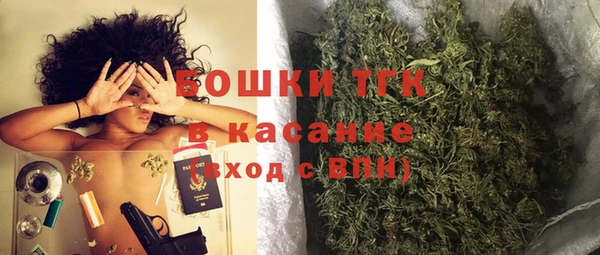 шишки Абаза