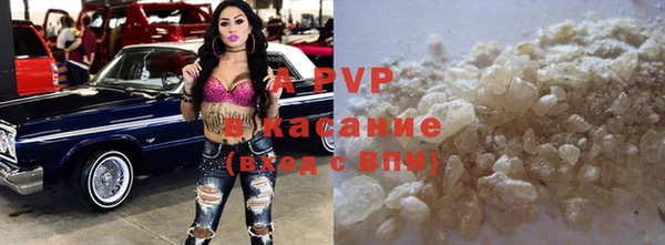шишки Абаза