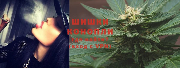 шишки Абаза