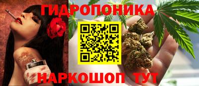 прущая мука Лесосибирск