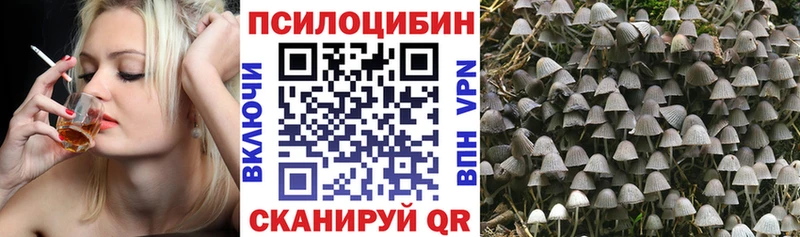 Псилоцибиновые грибы ЛСД продажа наркотиков Златоуст