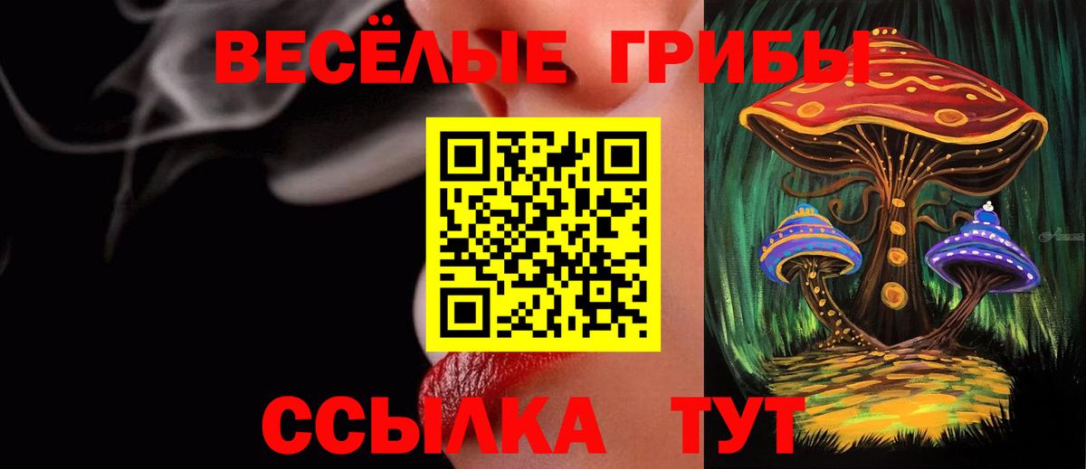 Златоуст  Галлюциногенные грибы Magic Shrooms  Псилоцибиновые грибы ЛСД  Вход с VPN 